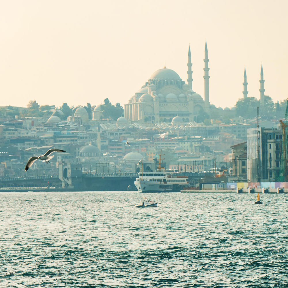 panoramic-view-beautiful-city-istanbul-sea-flying-seagull-turkey